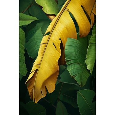 Feuille De Bananier Tableau